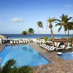 Divi 4*, Aruba Aruba